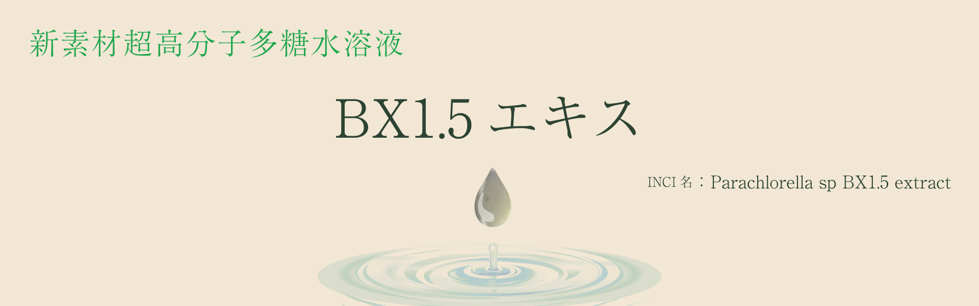 BX1.5エキス